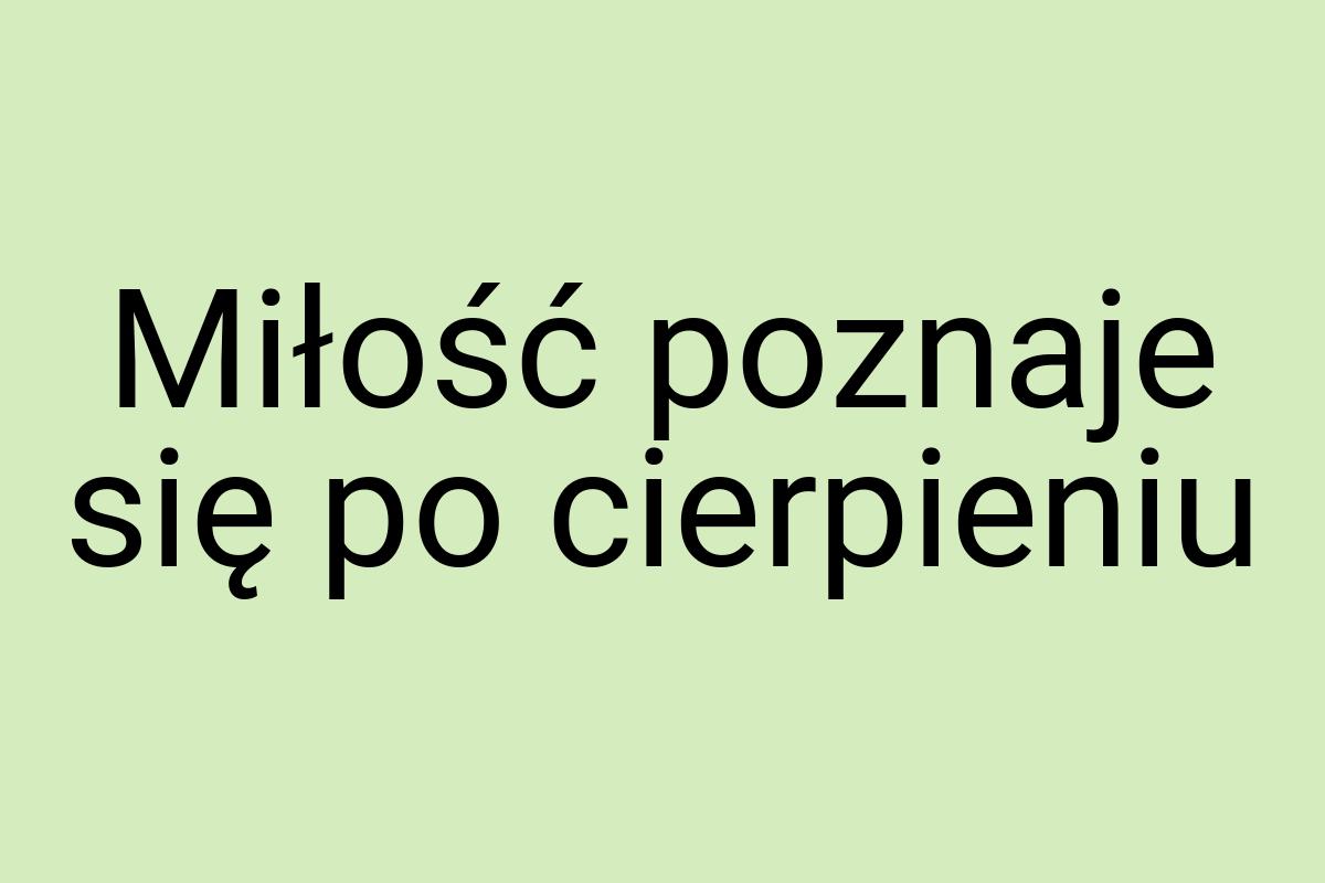 Miłość poznaje się po cierpieniu