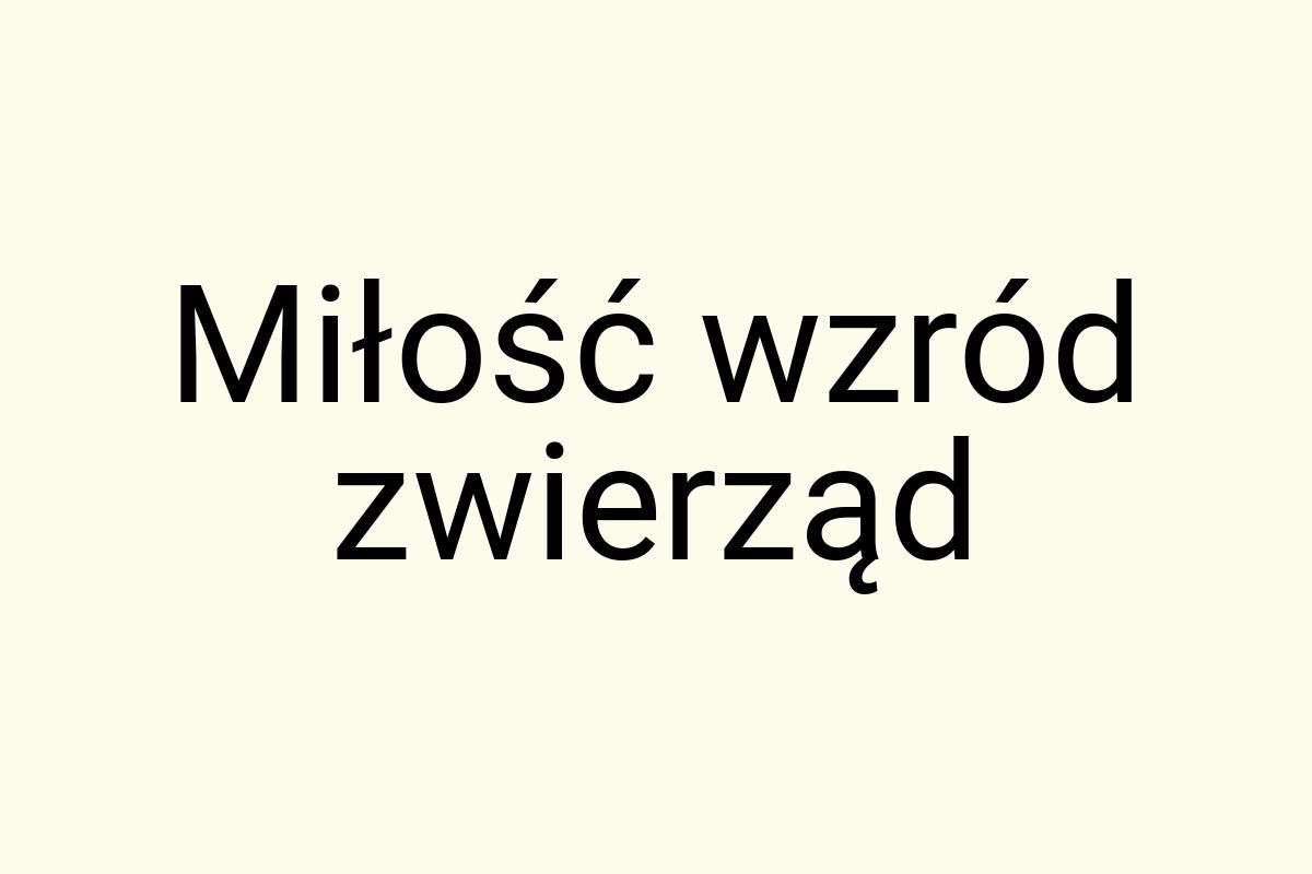 Miłość wzród zwierząd