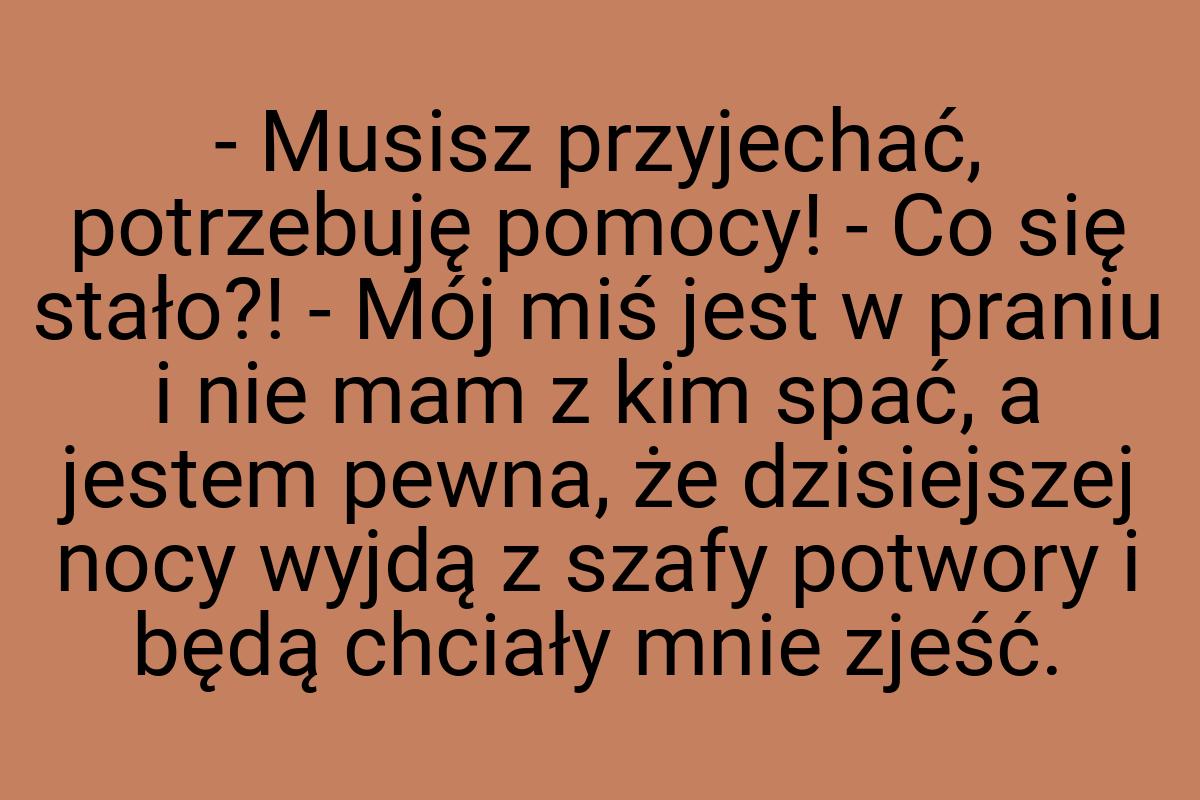 - Musisz przyjechać, potrzebuję pomocy! - Co się stało