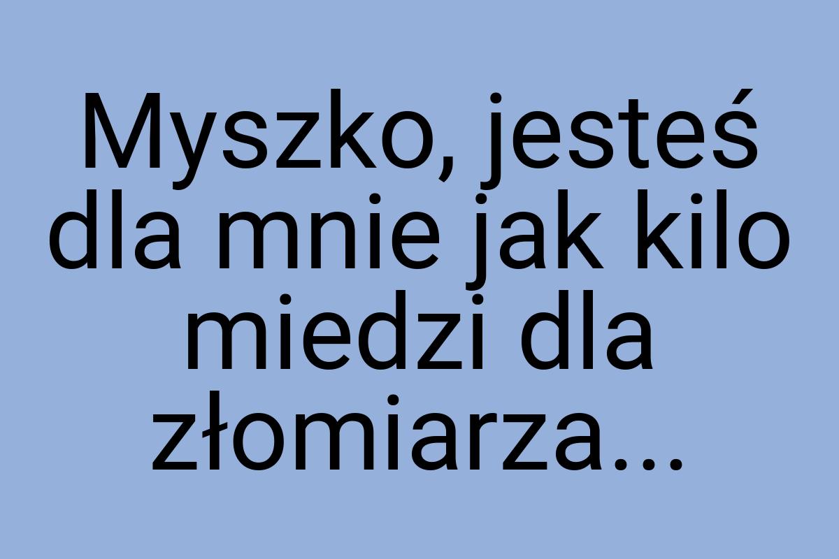 Myszko, jesteś dla mnie jak kilo miedzi dla złomiarza