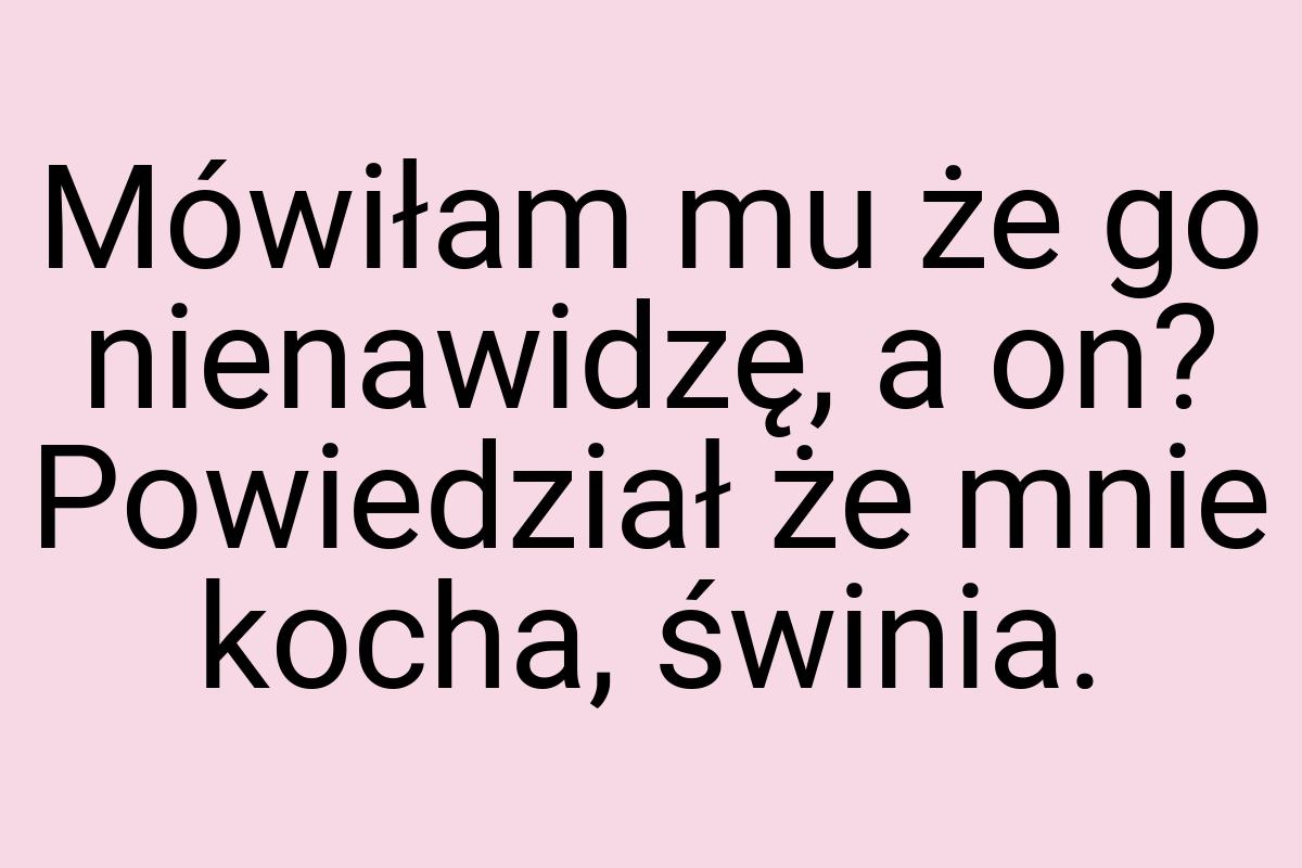 Mówiłam mu że go nienawidzę, a on? Powiedział że mnie