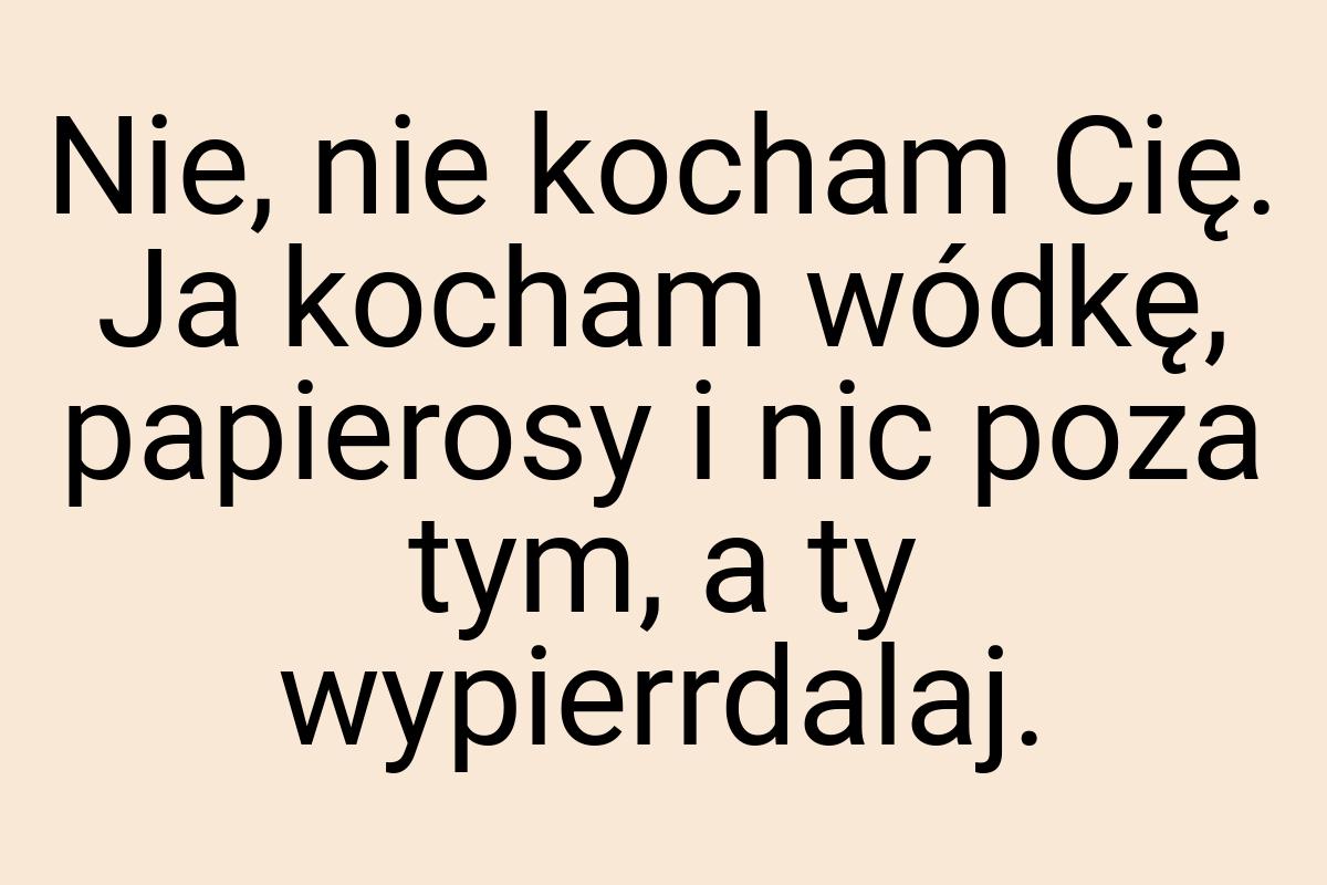 Nie, nie kocham Cię. Ja kocham wódkę, papierosy i nic poza