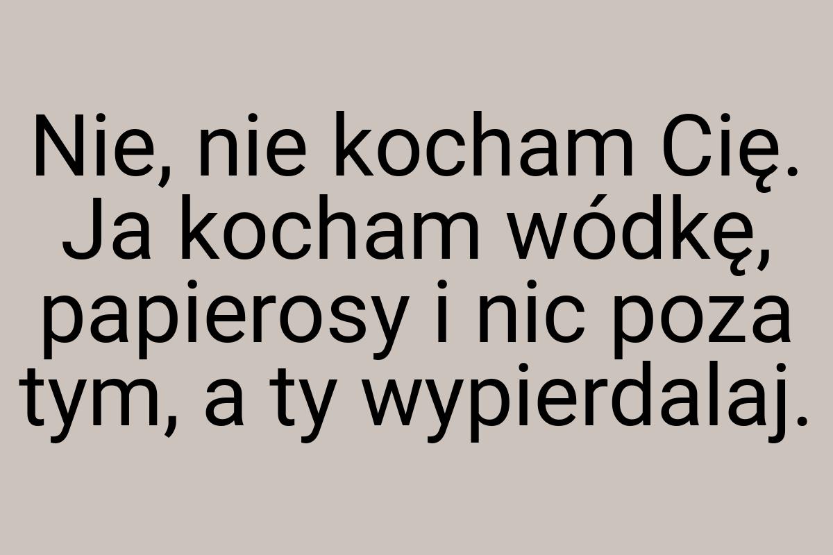 Nie, nie kocham Cię. Ja kocham wódkę, papierosy i nic poza