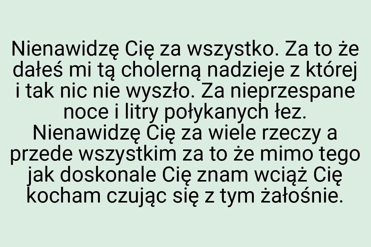 Nienawidzę Cię za wszystko. Za to że dałeś mi tą cholerną