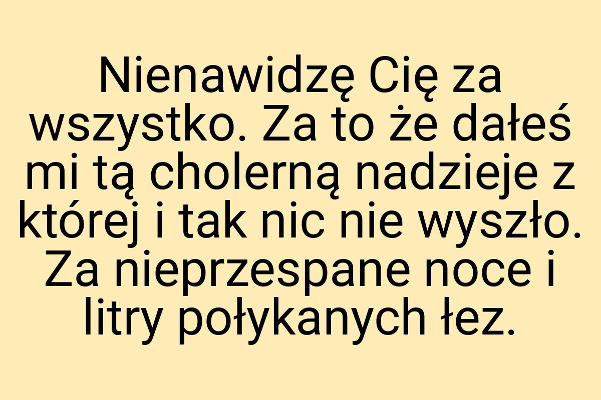 Nienawidzę Cię za wszystko. Za to że dałeś mi tą cholerną