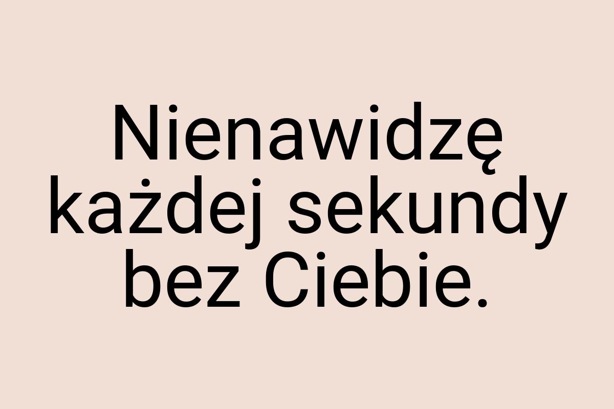 Nienawidzę każdej sekundy bez Ciebie