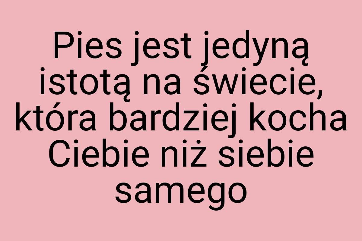 Pies jest jedyną istotą na świecie, która bardziej kocha