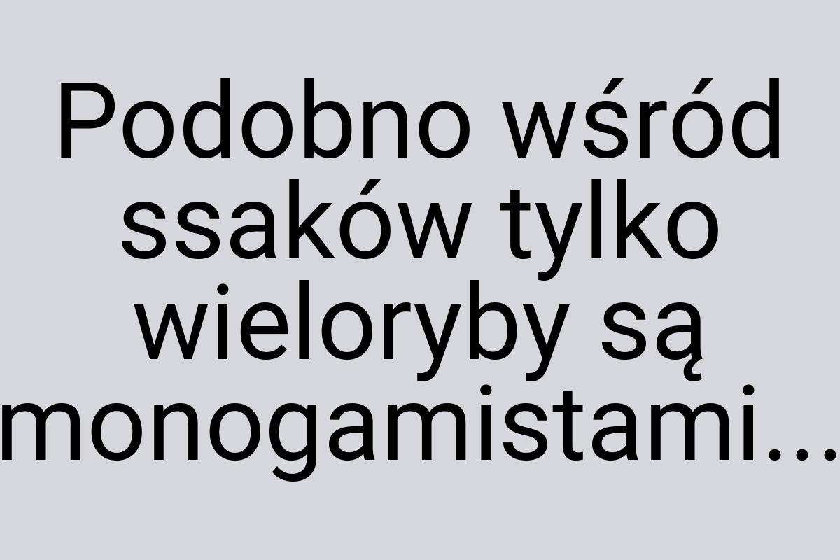 Podobno wśród ssaków tylko wieloryby są monogamistami