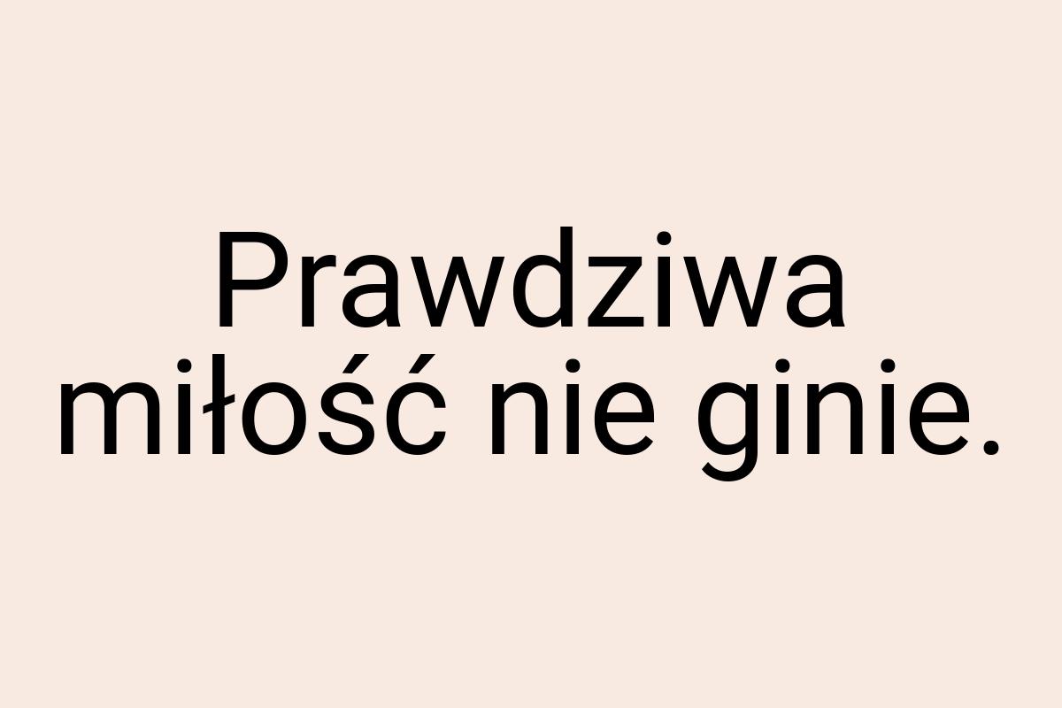 Prawdziwa miłość nie ginie