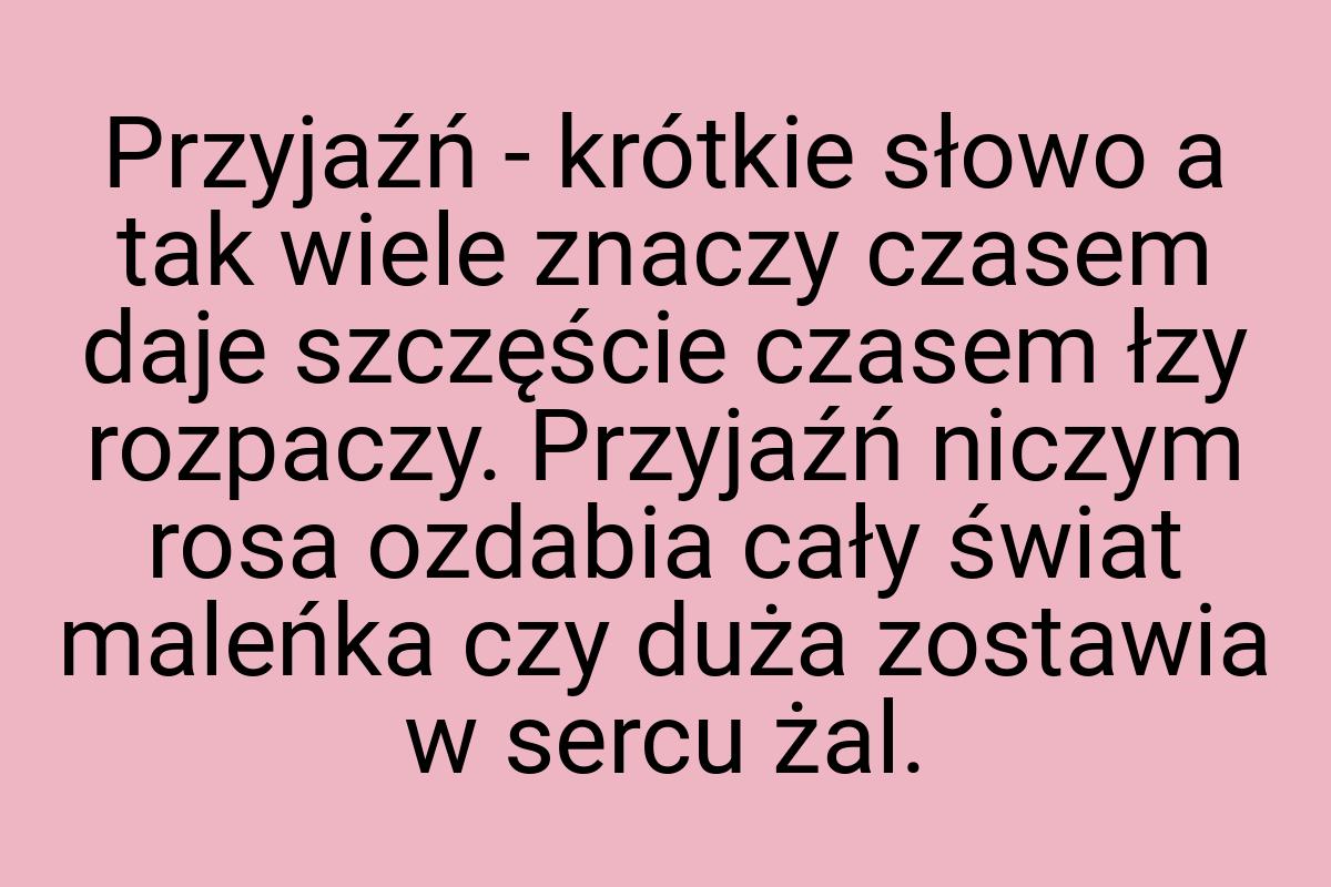 Przyjaźń - krótkie słowo a tak wiele znaczy czasem daje