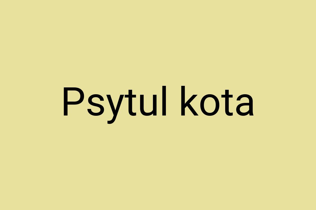 Psytul kota