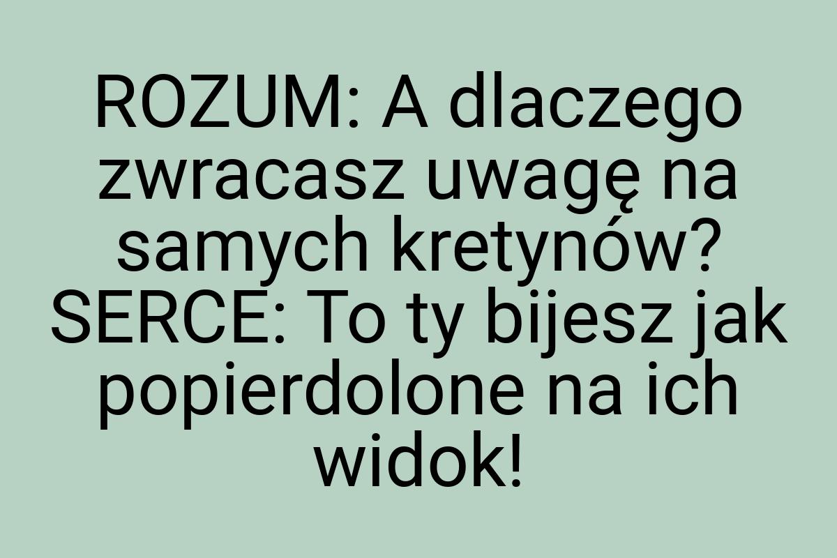 ROZUM: A dlaczego zwracasz uwagę na samych kretynów? SERCE