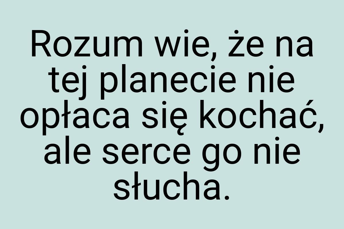 Rozum wie, że na tej planecie nie opłaca się kochać, ale