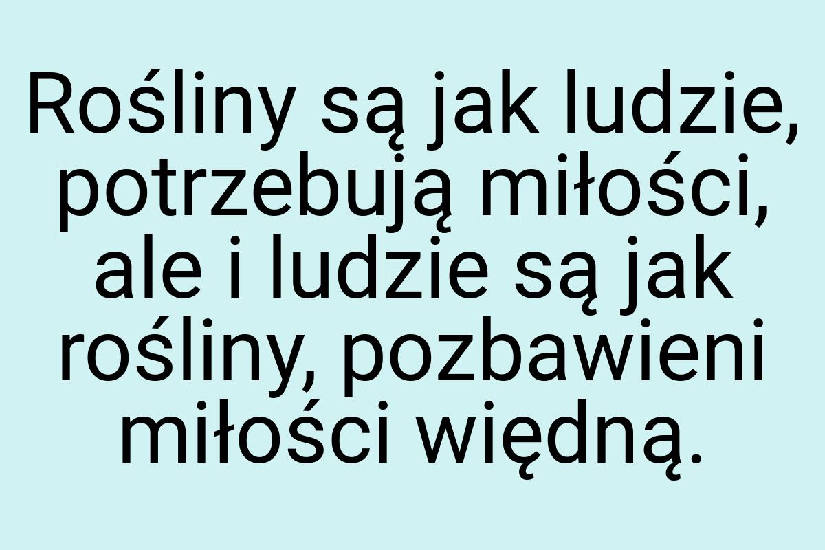 Rośliny są jak ludzie, potrzebują miłości, ale i ludzie są