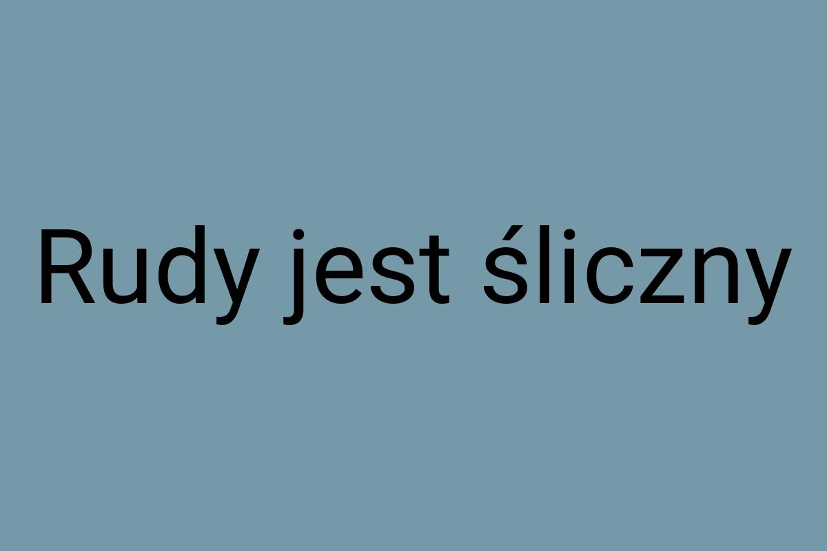 Rudy jest śliczny