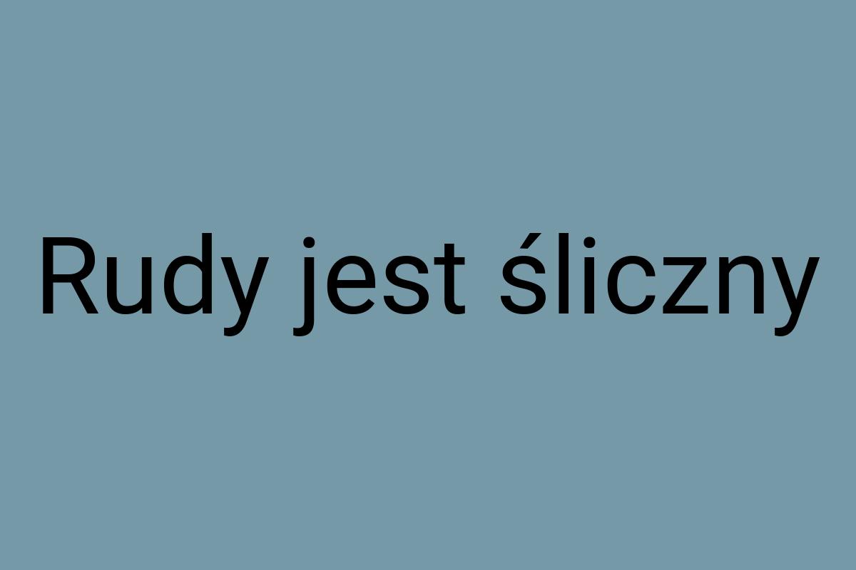 Rudy jest śliczny