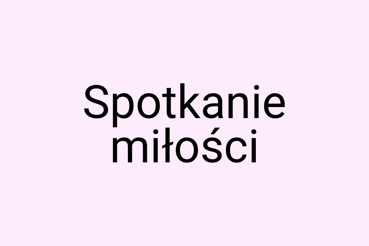 Spotkanie miłości