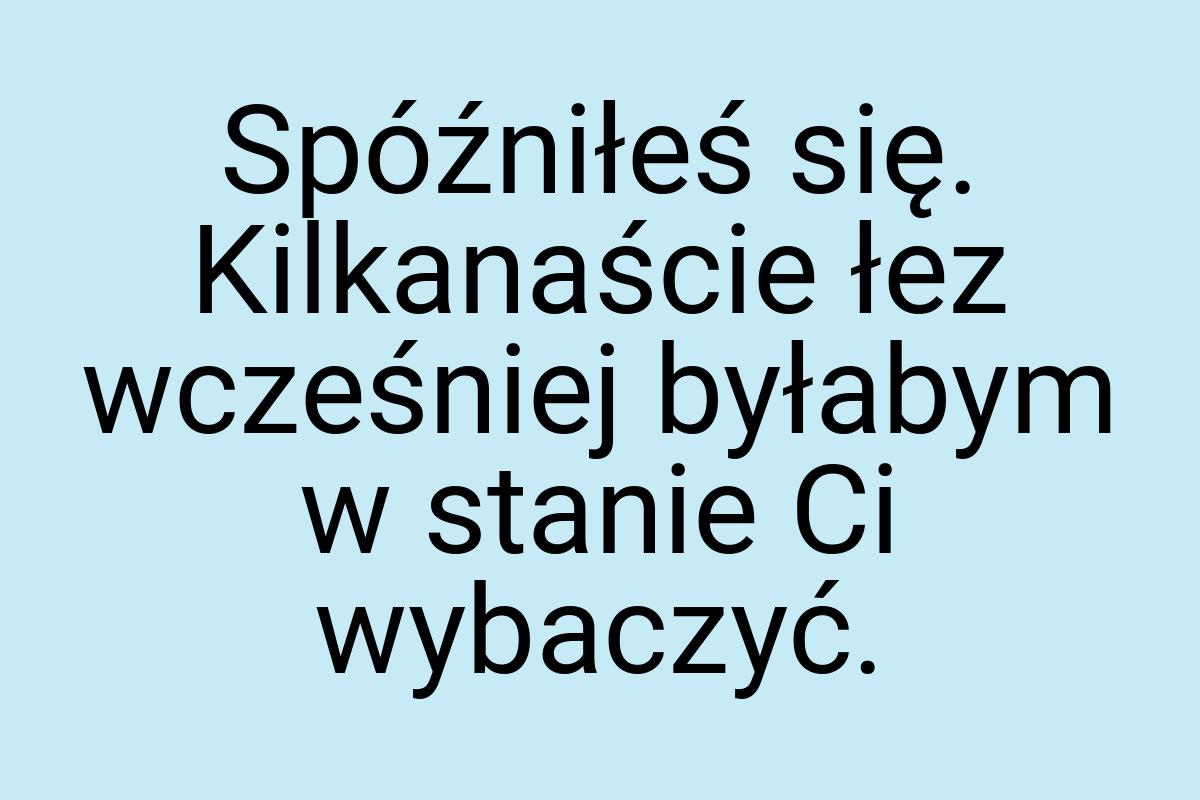 Spóźniłeś się. Kilkanaście łez wcześniej byłabym w stanie