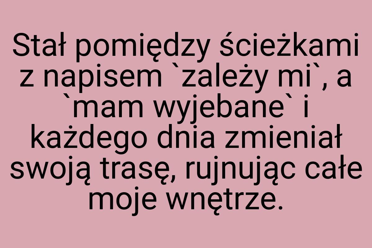 Stał pomiędzy ścieżkami z napisem `zależy mi`, a `mam