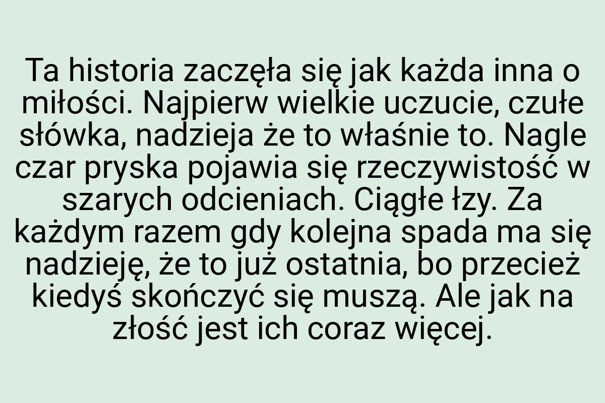 Ta historia zaczęła się jak każda inna o miłości. Najpierw