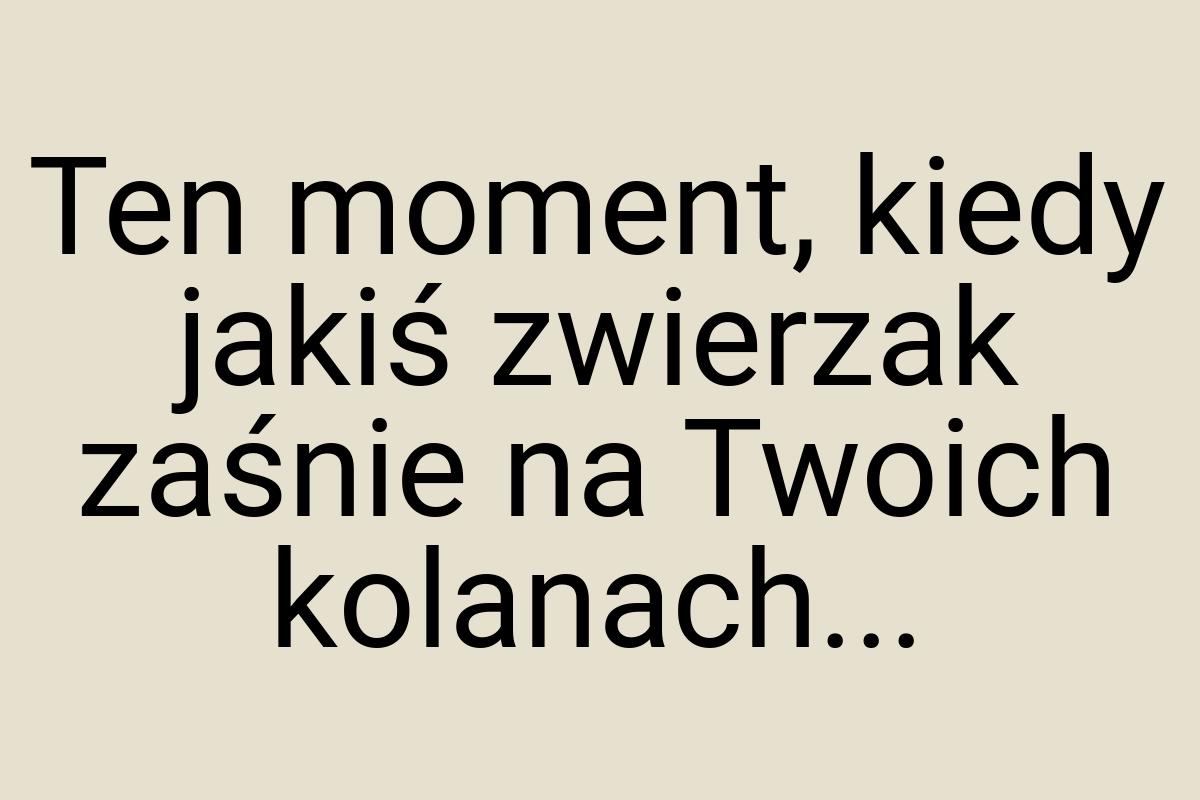 Ten moment, kiedy jakiś zwierzak zaśnie na Twoich