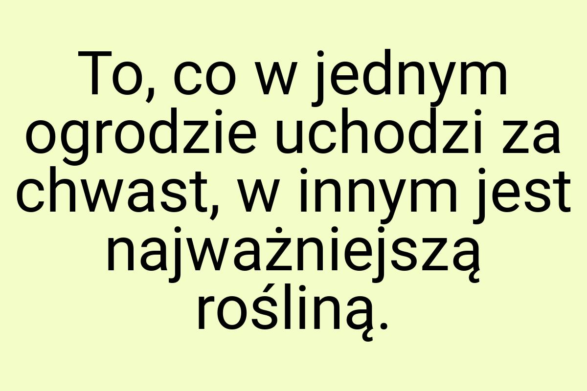 To, co w jednym ogrodzie uchodzi za chwast, w innym jest