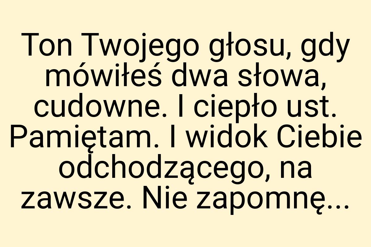 Ton Twojego głosu, gdy mówiłeś dwa słowa, cudowne. I ciepło