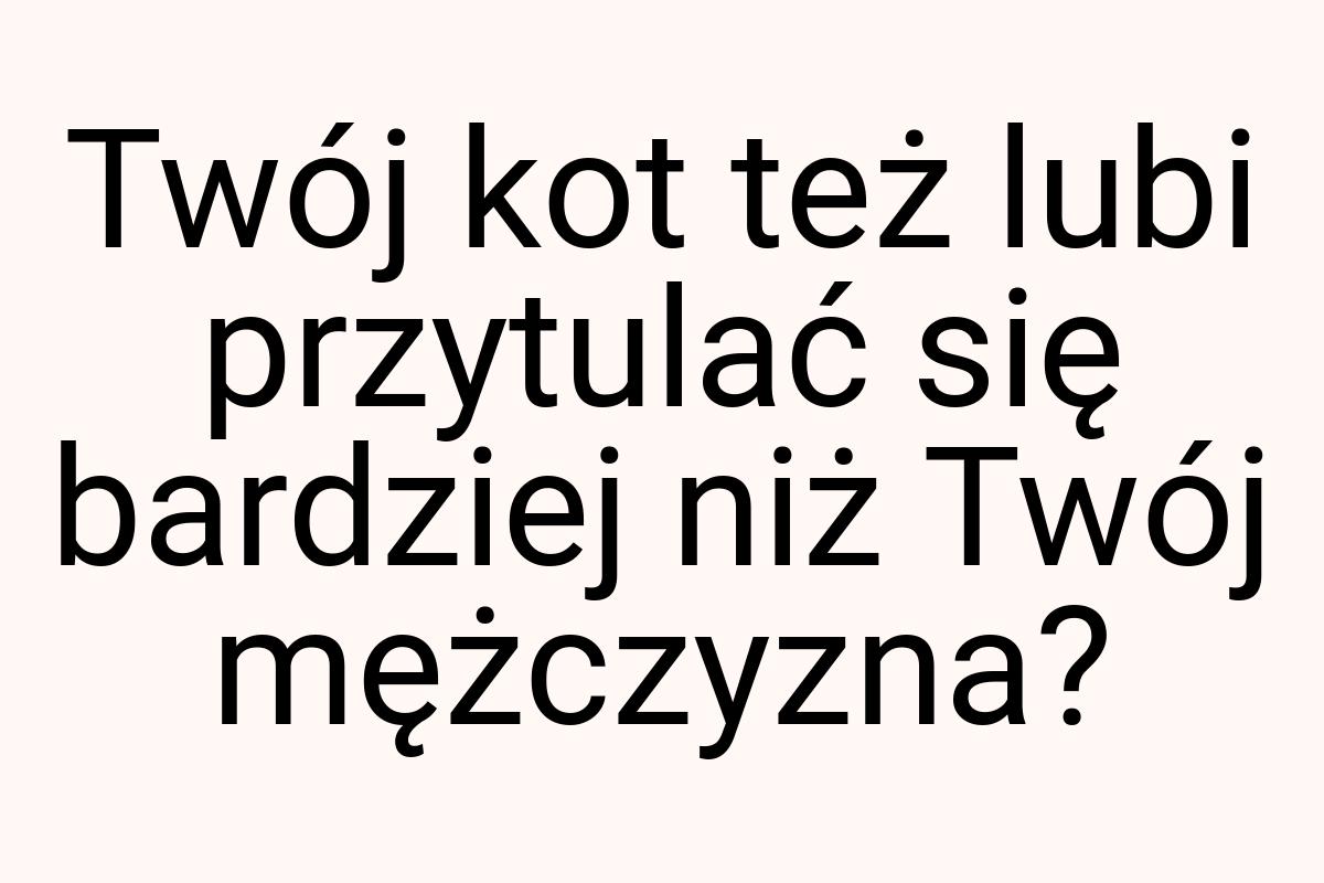 Twój kot też lubi przytulać się bardziej niż Twój mężczyzna