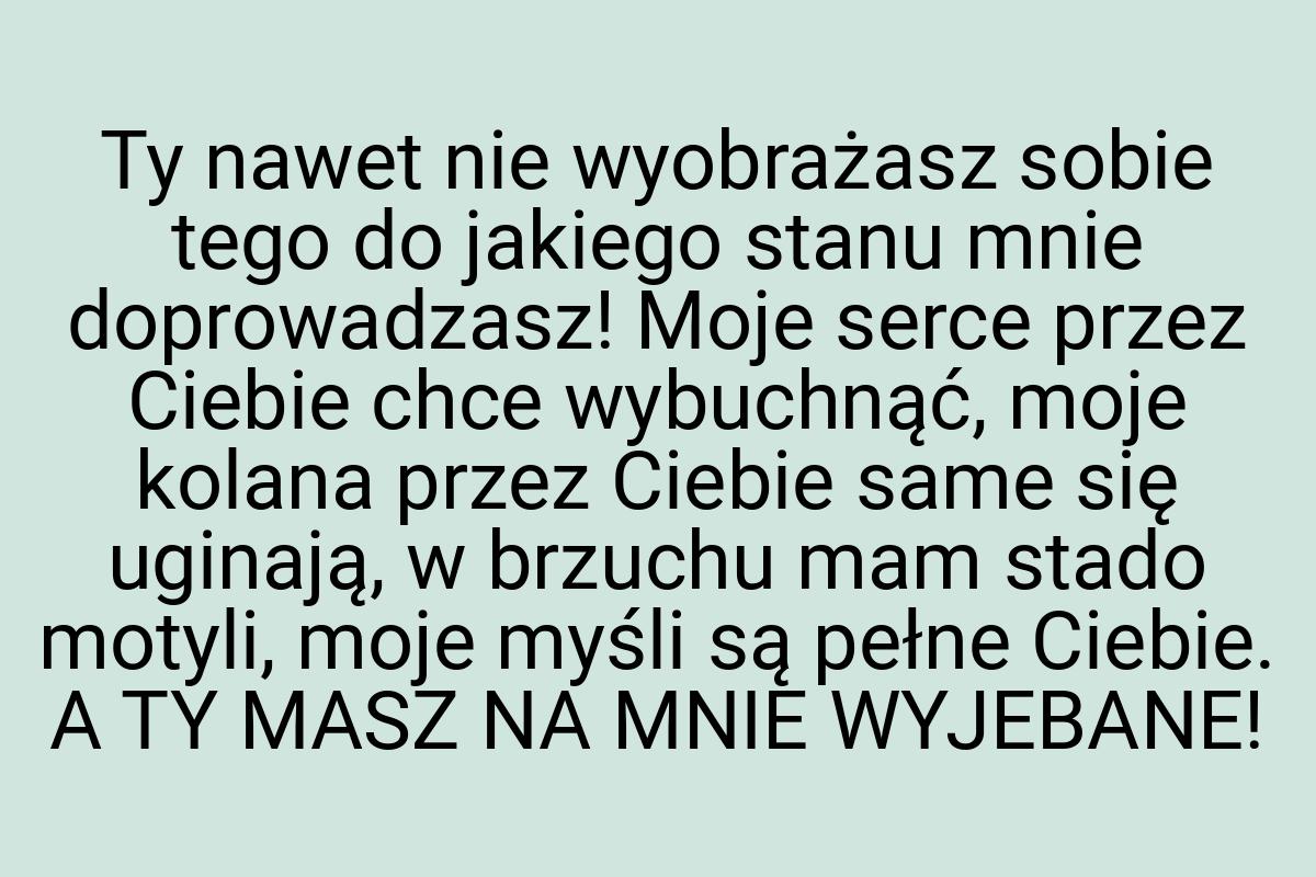 Ty nawet nie wyobrażasz sobie tego do jakiego stanu mnie