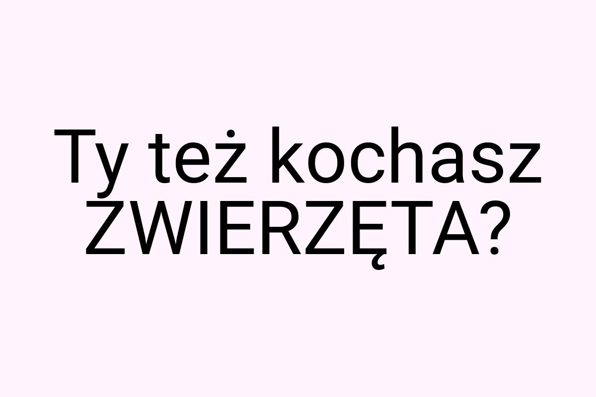 Ty też kochasz ZWIERZĘTA