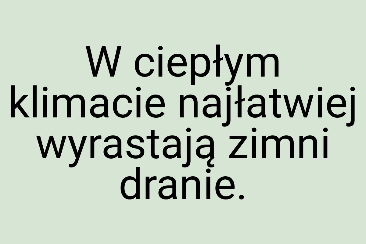 W ciepłym klimacie najłatwiej wyrastają zimni dranie