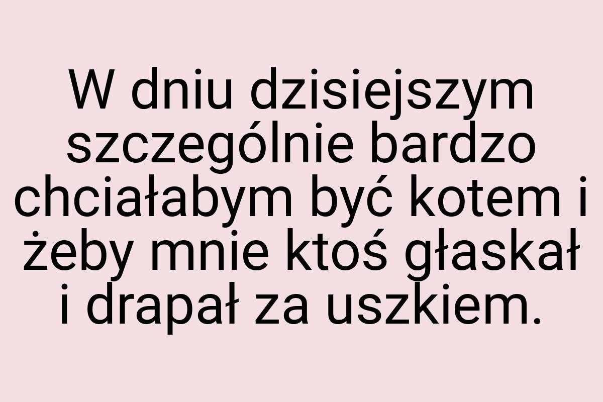 W dniu dzisiejszym szczególnie bardzo chciałabym być kotem