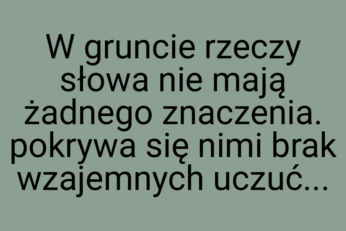 W gruncie rzeczy słowa nie mają żadnego znaczenia. pokrywa