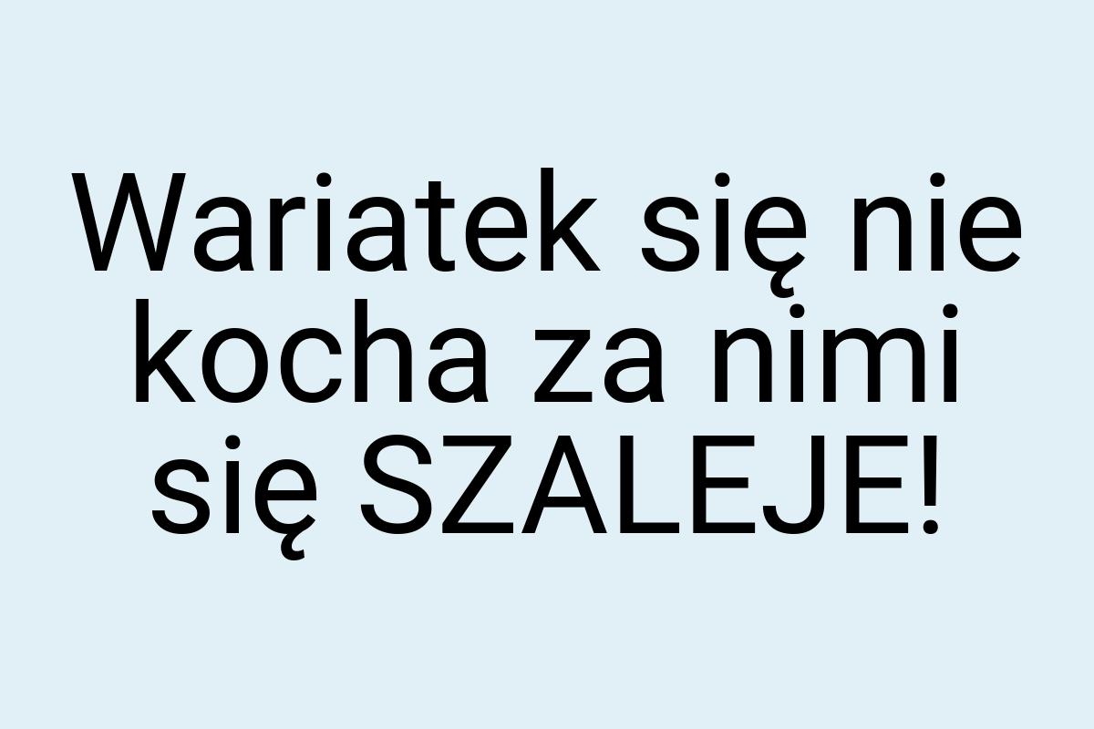 Wariatek się nie kocha za nimi się SZALEJE