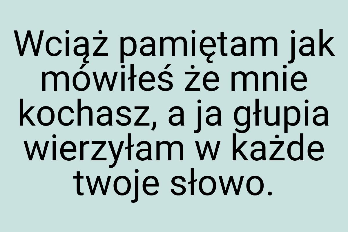 Wciąż pamiętam jak mówiłeś że mnie kochasz, a ja głupia