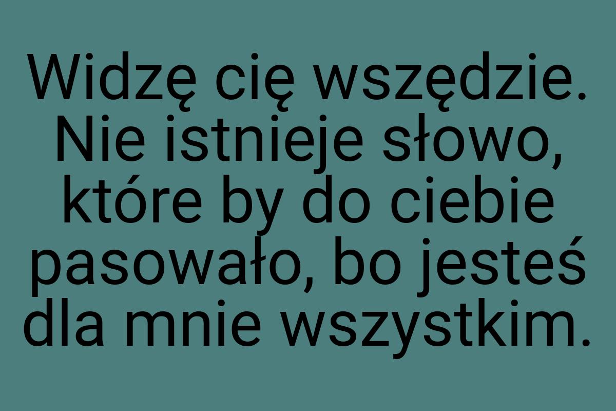 Widzę cię wszędzie. Nie istnieje słowo, które by do ciebie