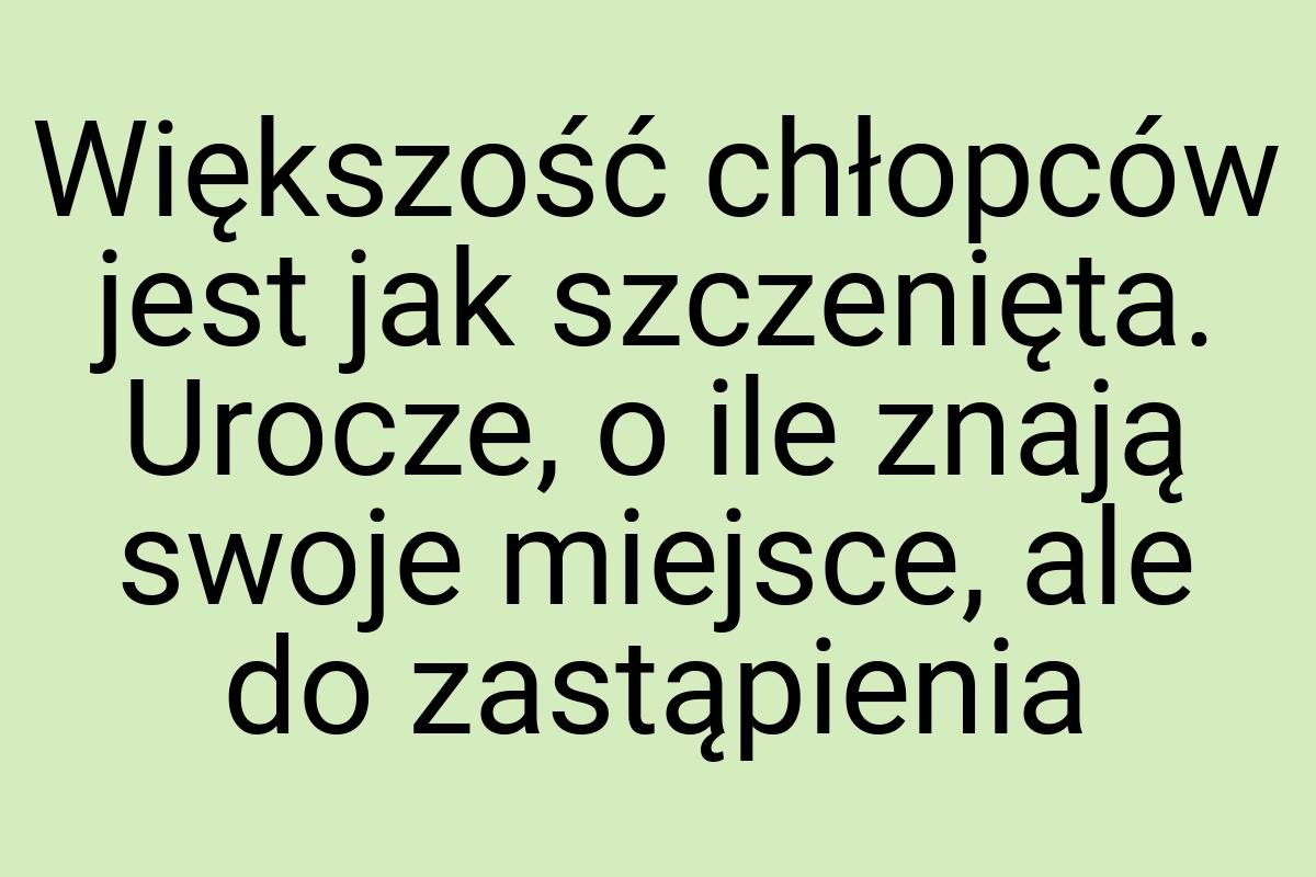 Większość chłopców jest jak szczenięta. Urocze, o ile znają