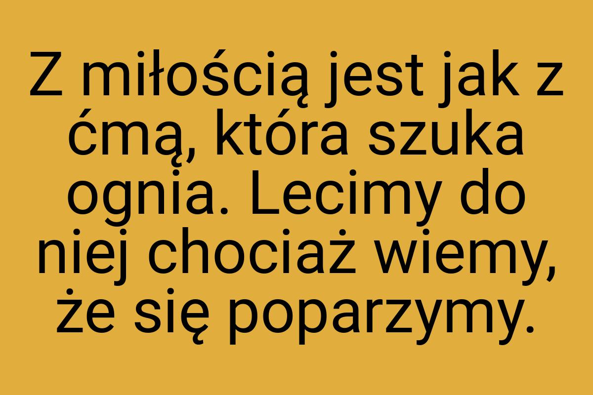 Z miłością jest jak z ćmą, która szuka ognia. Lecimy do