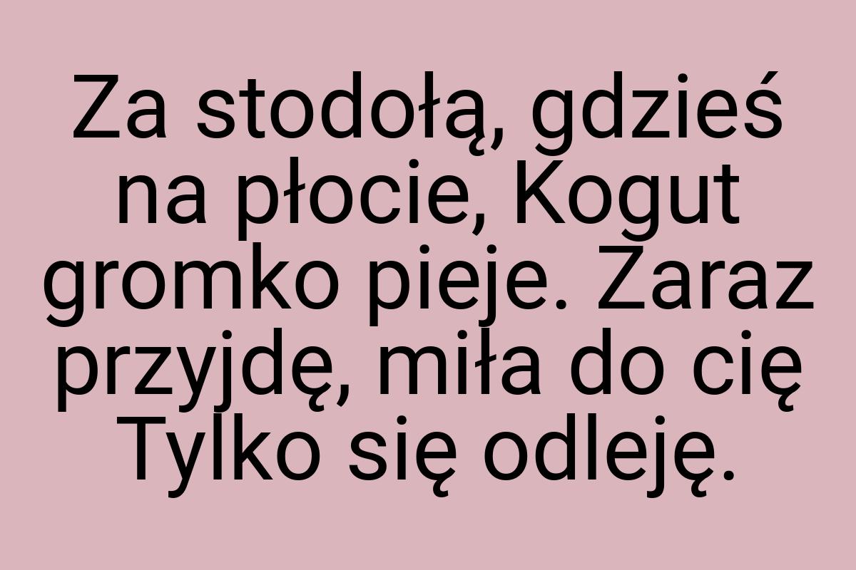 Za stodołą, gdzieś na płocie, Kogut gromko pieje. Zaraz