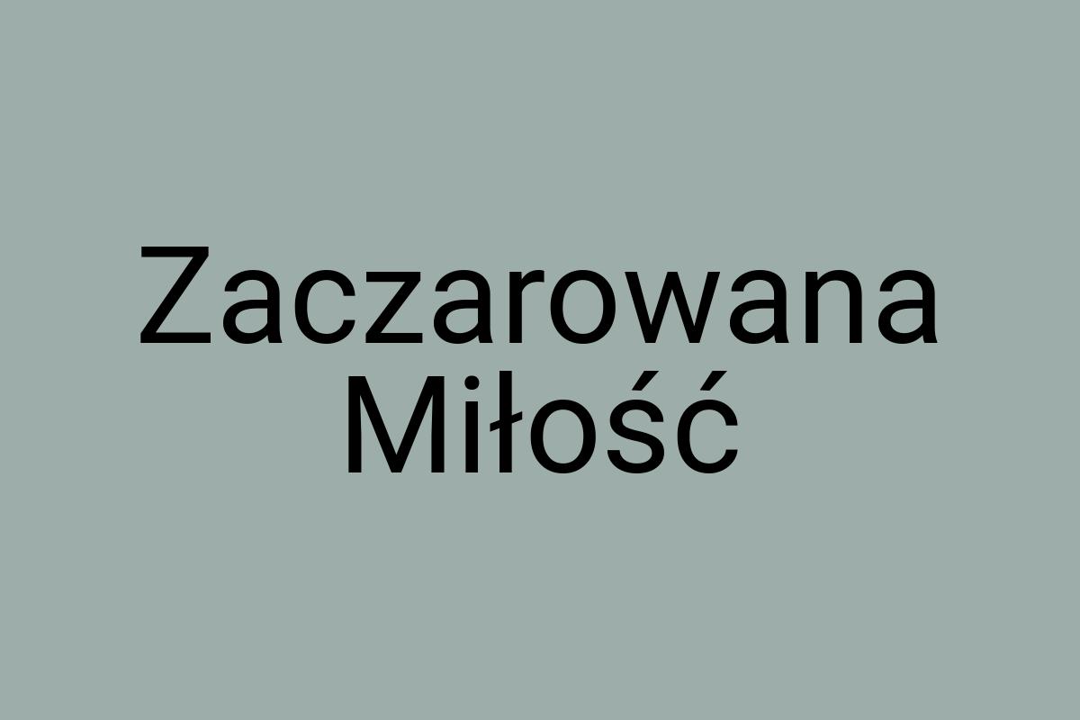 Zaczarowana Miłość