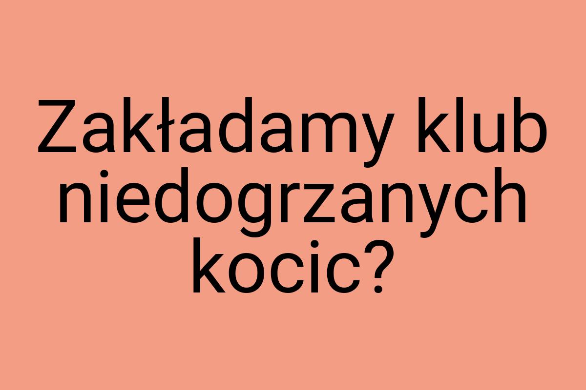 Zakładamy klub niedogrzanych kocic