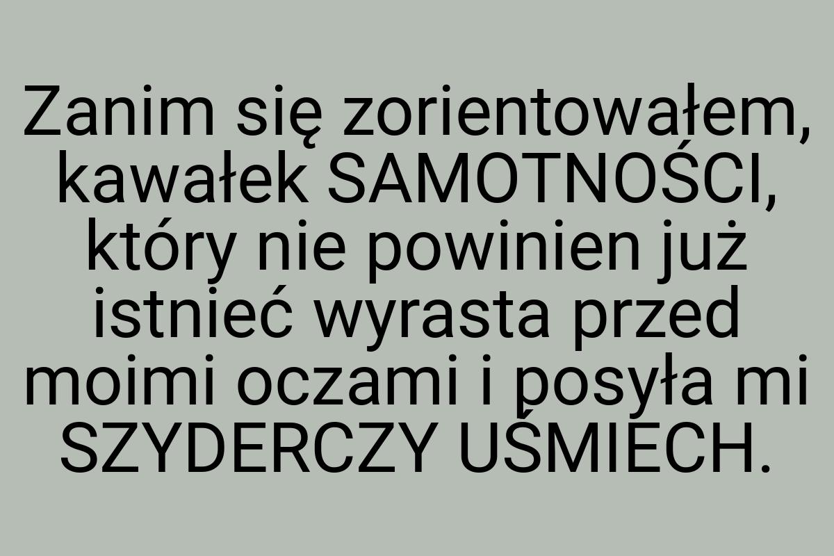 Zanim się zorientowałem, kawałek SAMOTNOŚCI, który nie