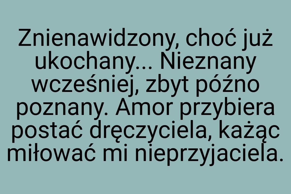 Znienawidzony, choć już ukochany... Nieznany wcześniej