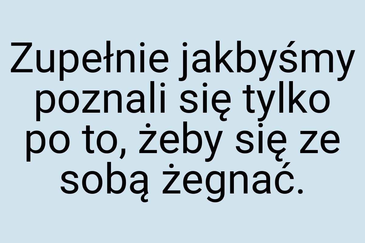 Zupełnie jakbyśmy poznali się tylko po to, żeby się ze sobą