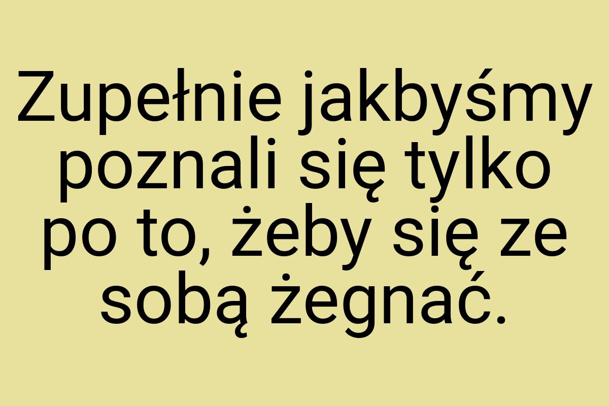 Zupełnie jakbyśmy poznali się tylko po to, żeby się ze sobą