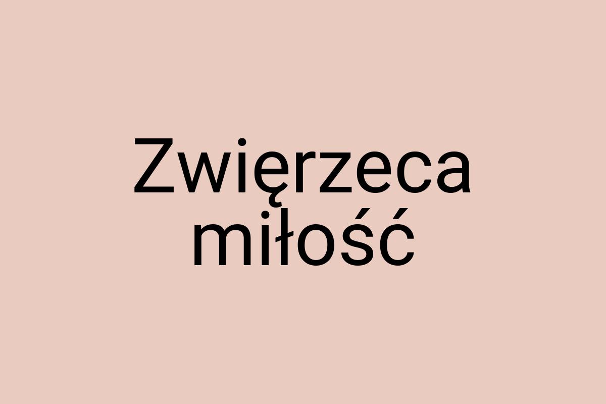 Zwięrzeca miłość