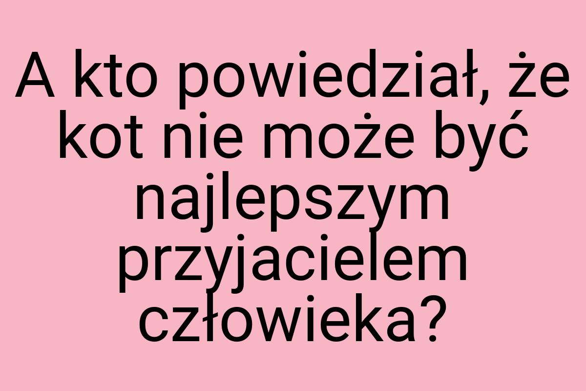 A kto powiedział, że kot nie może być najlepszym