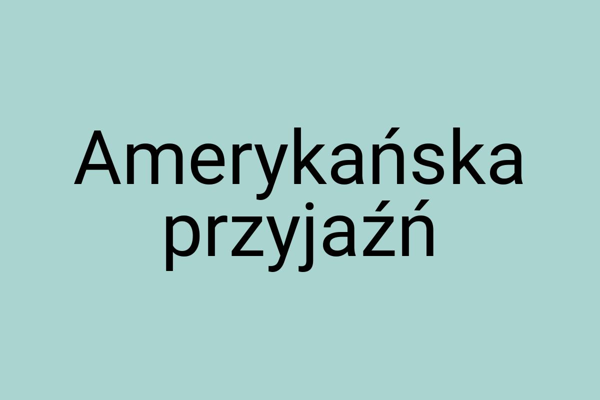 Amerykańska przyjaźń