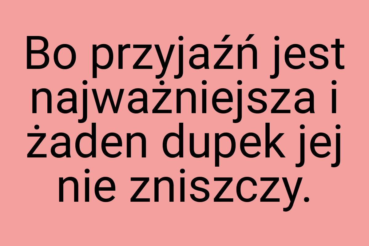 Bo przyjaźń jest najważniejsza i żaden dupek jej nie