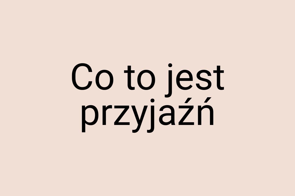 Co to jest przyjaźń